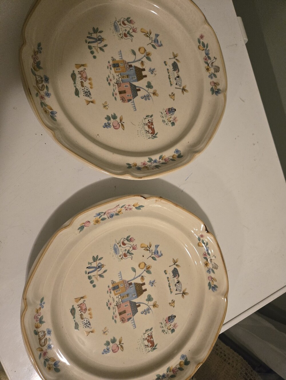 Heartland International Dinner Plates Set Of 2 - Picture 4 of 5